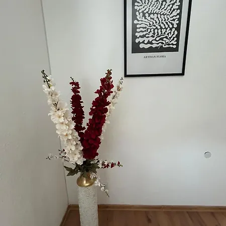 Apartament La Bella 3* *