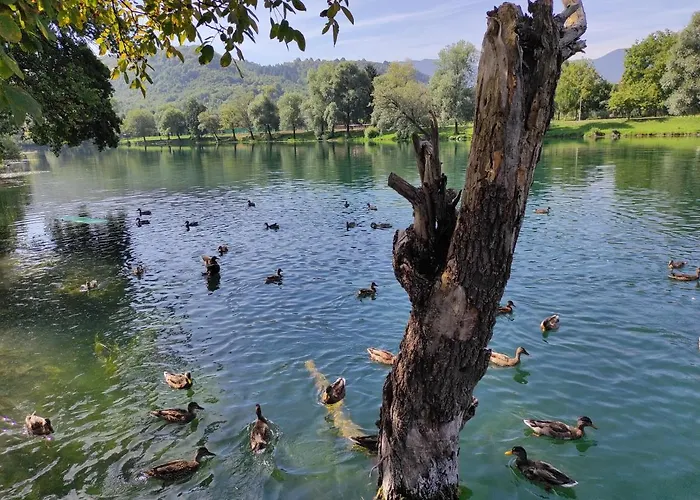 Apartment La Bella 3* Bihać