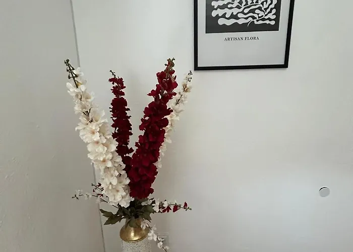 Apartment La Bella 3* *